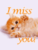 I Miss You Animation Cat Hand