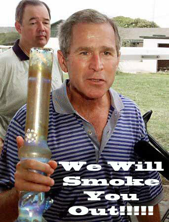 Bush Smoke You Out