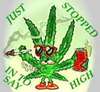 Sayin' High