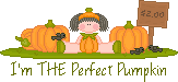 I'm The Perfect Pumpkin