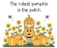 The Cutiest Pumpkin In The Patch