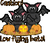 Low Flying Bats