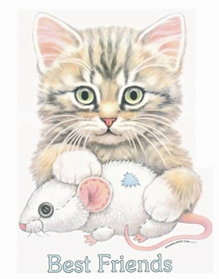 Best Friends Cat & Mouse