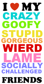 I Love Crazy Goofy Stupid Gorgeous Wierd Lame Socially Lame Challenged Friends Different Color Text