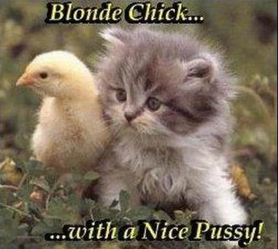 Blonde Chick