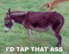 I'd Tap That Ass