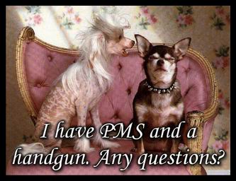 PMS Dogs