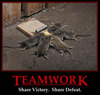 Teamwork. Share Victory. Share Defeat