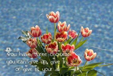 You Have Three Choices; You Can Give Up, Give In, Or Give It Your All