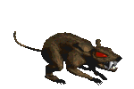 Demon Rat