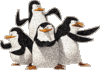 Kung Fu Penguins