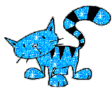 Sparkly Cat