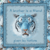 A Brother is a Friend