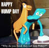 Pokey Hump Day