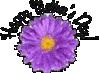 Happy Mother's Day! Violet Glitter Flower