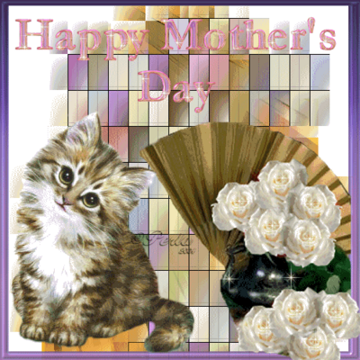 Happy Mother's Day , Cat, White Roses