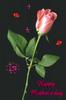 Happy Mother's Day , Pink Rose, Black Background, Some Hearts