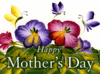 Happy Mother's Day, Flowers, White Text