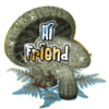 Hi Friend Mushroom