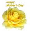 Happy Mother's Day , yellow rose, yellow text