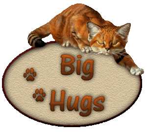Big hugs, animated cat, brown text