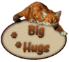 Big hugs, animated cat, brown text