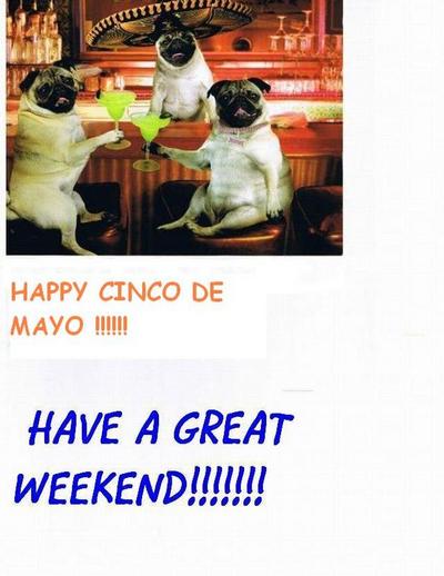 Happy Cinco De Mayo Have A Great Weekend - Dog
