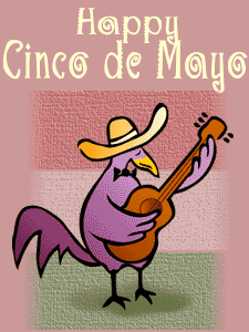 Happy Cinco De Mayo Bird