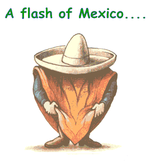 A Flash Of Mexico... Feliz Cinco De Mayo