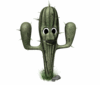Cinco de Mayo Cactus