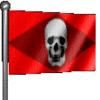 Skull Flag