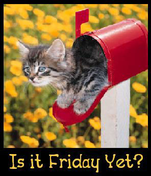 Is It Friday Yet? kitty mail box