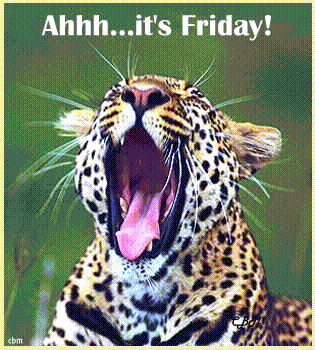 It's Friday Leopard