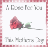A Rose For You This Mothers Day , Black Text