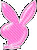 Pink Playboy Bunny