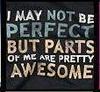 I May Not Be Perfect But Parts Of Me Are Pretty Awesome