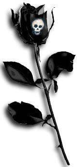 black rose, skull