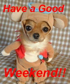 Have A Good Weekend. funny puppy