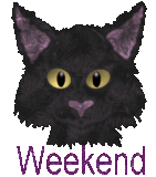 Weekend, black cat