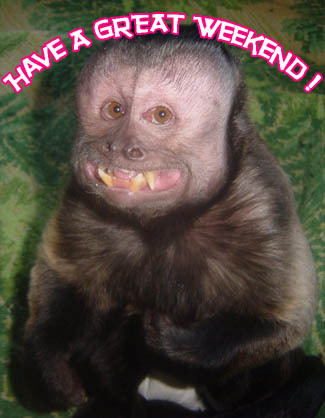 Have A Great Weekend! monkey