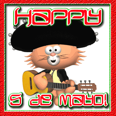 Happy 5 De Mayo Cat