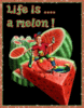 Life-Is-A-Melon