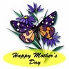 HAPPY MOTHERS DAY, butterfly 
