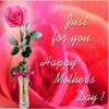 happy mothers day pink rose