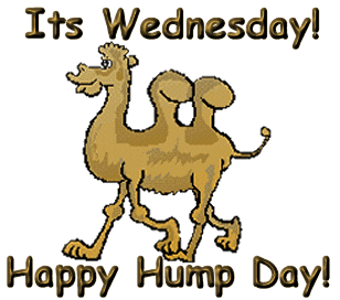 It's Wednesday Happy Hump Day, Brown text