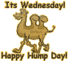 It's Wednesday Happy Hump Day, Brown text
