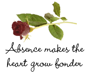 Absence Makes The Heart Grow Fonder