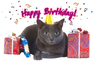 Happy Birthday! -- Cat