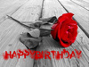HAPPY BIRTHDAY -- red rose, red text