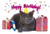 Happy Birthday! -- Cat